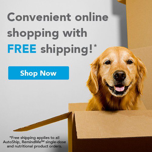 Convenient online shopping with FREE shipping!