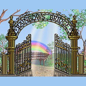 Link to Rainbow Bridge Pet Loss Support Website