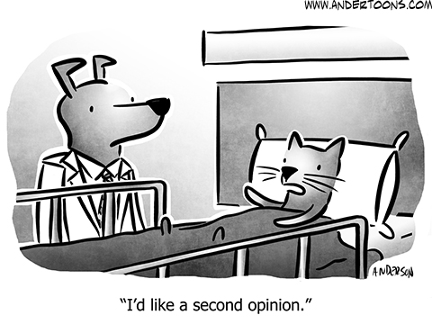 Pet Cartoons